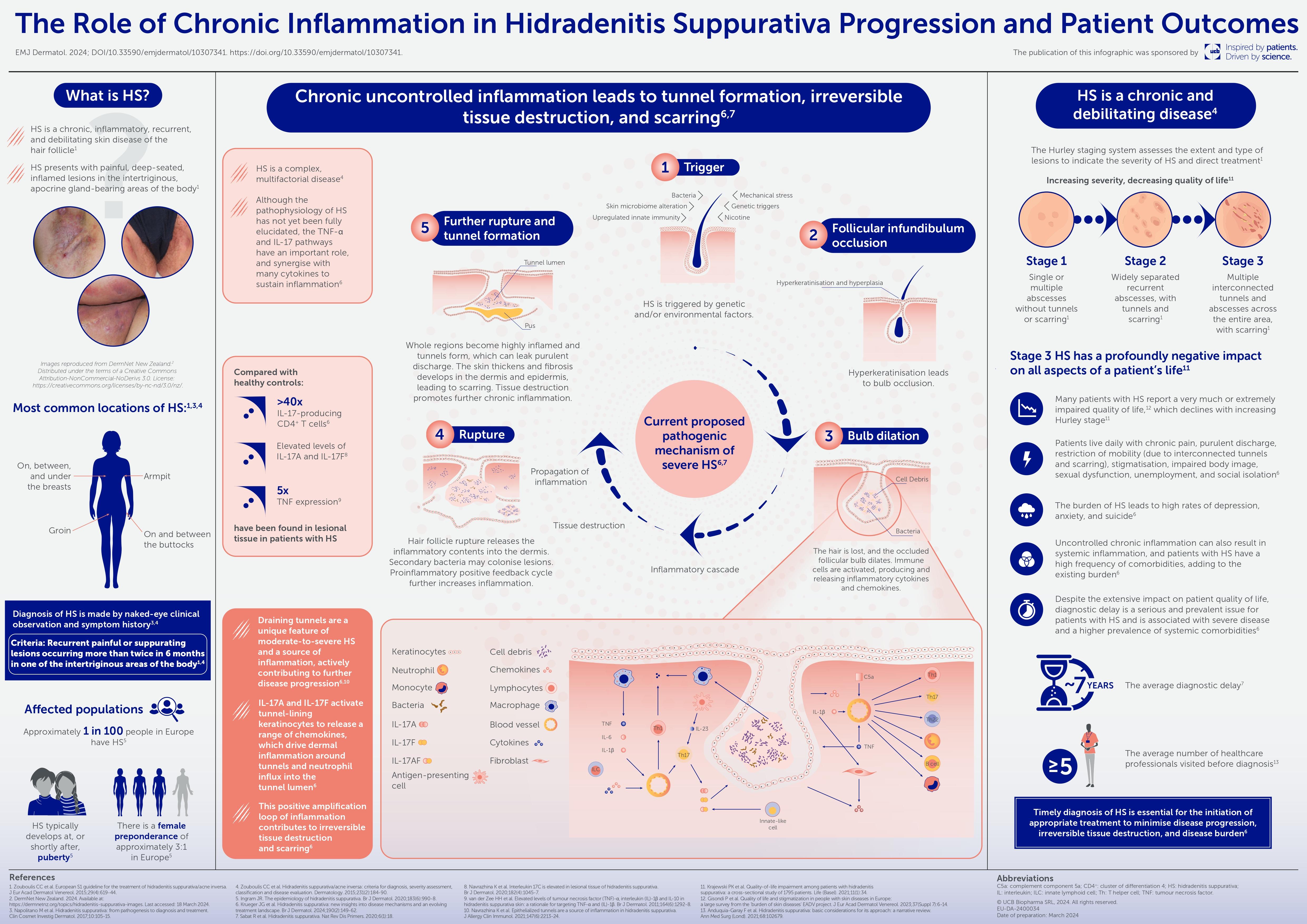 The-Role-of-Chronic-Inflammation-in-Hidradenitis-Suppurativa-Progression-and-Pati_page-0001.jpg