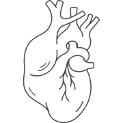 Increased risk of cardiovascular disease-related mortality